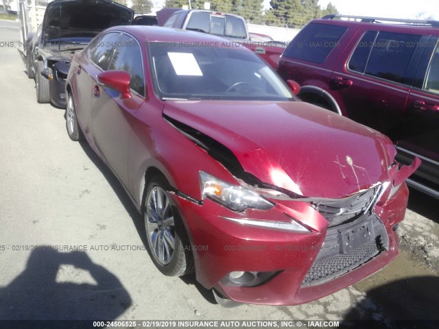 JTHBF1D29E5006817 - 2014 LEXUS IS 250 RED photo 1