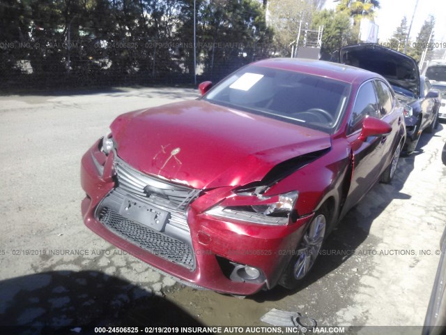 JTHBF1D29E5006817 - 2014 LEXUS IS 250 RED photo 2