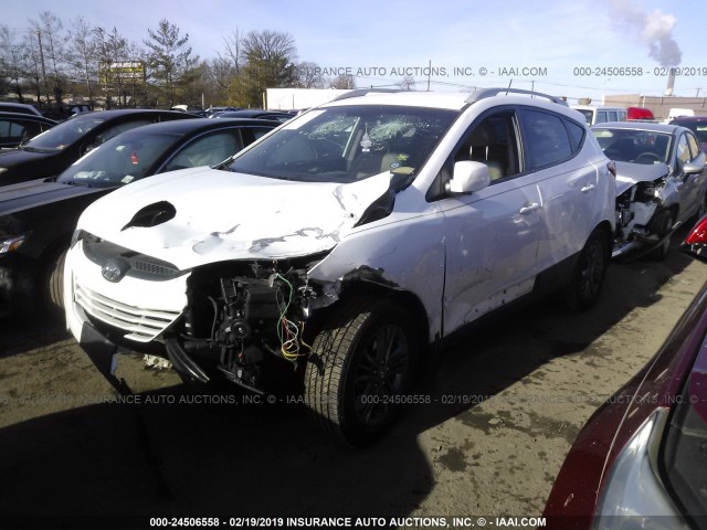 KM8JUCAG7EU844800 - 2014 HYUNDAI Tucson GLS/LIMITED/SE WHITE photo 2