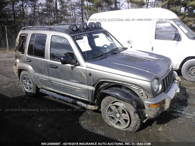 1J4GL38K32W366848 - 2002 JEEP LIBERTY RENEGADE GOLD photo 1