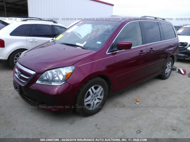 5FNRL38706B429439 - 2006 HONDA ODYSSEY EXL BURGUNDY photo 2