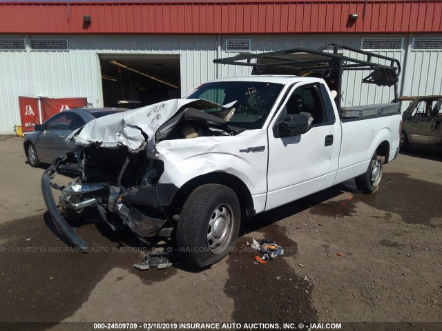 1FTMF1CM4DKE23887 - 2013 FORD F150 WHITE photo 2