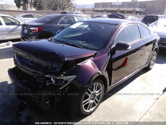 JTKDE167880269719 - 2008 TOYOTA SCION TC PURPLE photo 2