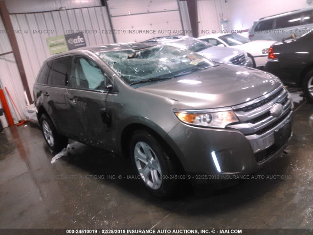 2FMDK3JCXCBA27114 - 2012 FORD EDGE SEL GRAY photo 1