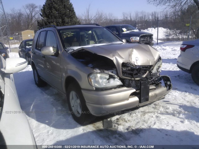 4JGAB54E81A226067 - 2001 MERCEDES-BENZ ML 320 TAN photo 1