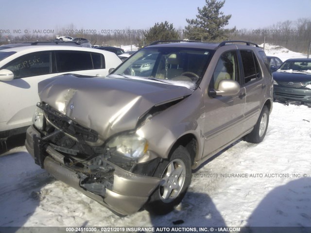 4JGAB54E81A226067 - 2001 MERCEDES-BENZ ML 320 TAN photo 2