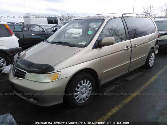 2HKRL18072H520842 - 2002 HONDA ODYSSEY EXL GOLD photo 2