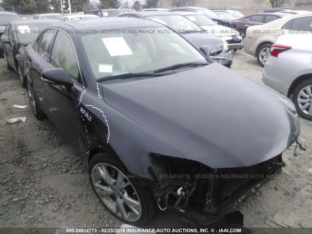 JTHBK262995096152 - 2009 LEXUS IS 250 BLACK photo 1