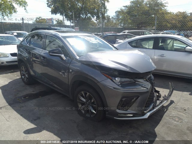 JTJYARBZXJ2089109 - 2018 LEXUS NX 300/BASE/F SPORT GRAY photo 1