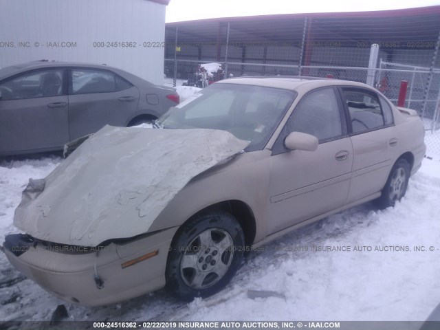 1G1NE52J93M722969 - 2003 CHEVROLET MALIBU LS GOLD photo 2