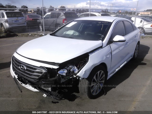 5NPE34AF9GH382128 - 2016 HYUNDAI SONATA SPORT/LIMITED WHITE photo 2