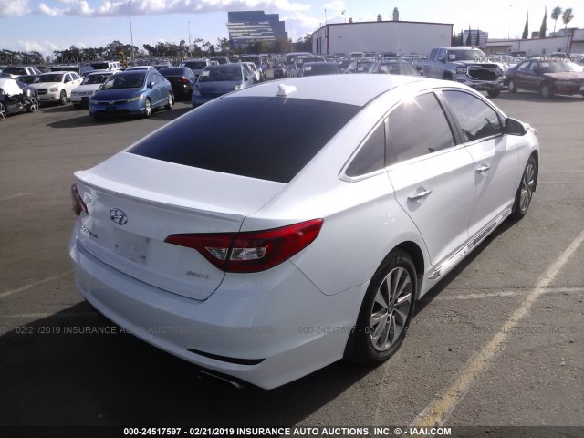 5NPE34AF9GH382128 - 2016 HYUNDAI SONATA SPORT/LIMITED WHITE photo 4