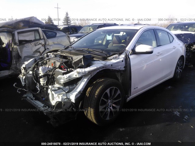 19UUB1F52FA013132 - 2015 ACURA TLX TECH WHITE photo 2