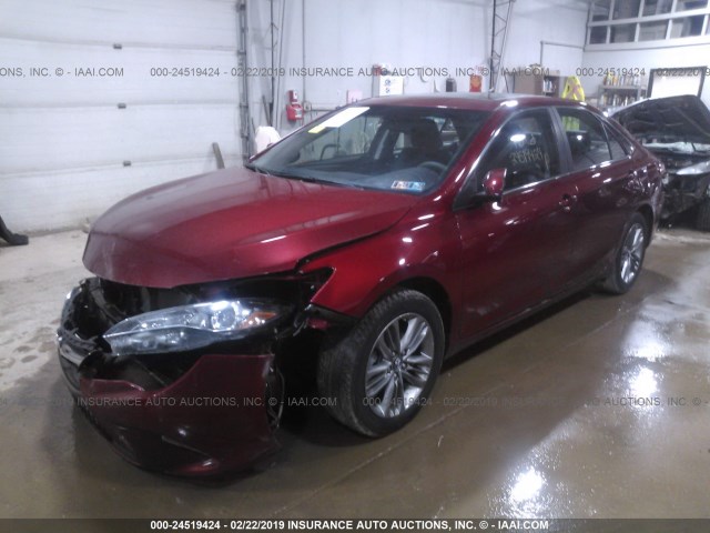 4T1BF1FK7HU793724 - 2017 TOYOTA CAMRY LE/XLE/SE/XSE წითელი ფოტო 2