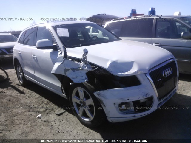 WA1LFAFP3CA042239 - 2012 AUDI Q5 PREMIUM PLUS WHITE photo 1