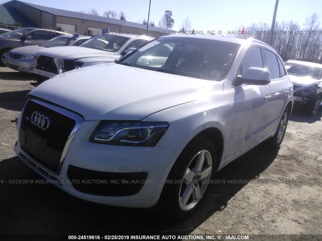 WA1LFAFP3CA042239 - 2012 AUDI Q5 PREMIUM PLUS WHITE photo 2