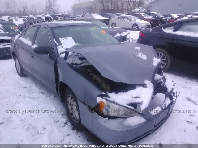 1G2NE52FX4C248304 - 2004 PONTIAC GRAND AM SE GRAY photo 1