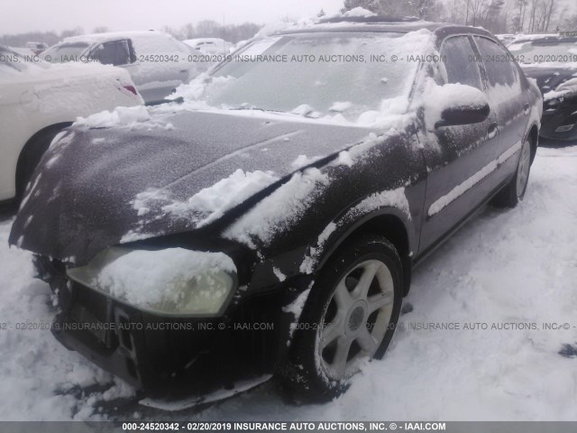 JN1CA31D61T601509 - 2001 NISSAN MAXIMA GXE/SE/GLE/20TH ANNIV BURGUNDY photo 2