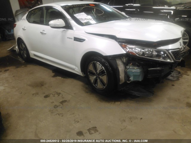 KNAGM4AD3D5045791 - 2013 KIA OPTIMA HYBRID WHITE photo 1