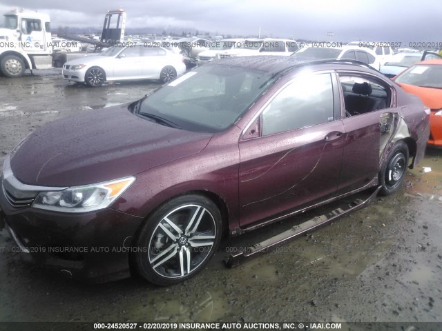 1HGCR2F51GA204099 - 2016 HONDA ACCORD SPORT MAROON photo 2