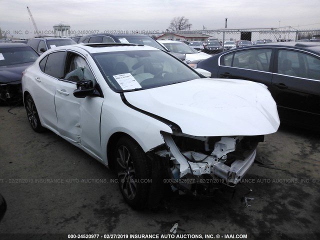 19UUB2F31JA008744 - 2018 ACURA TLX WHITE photo 1