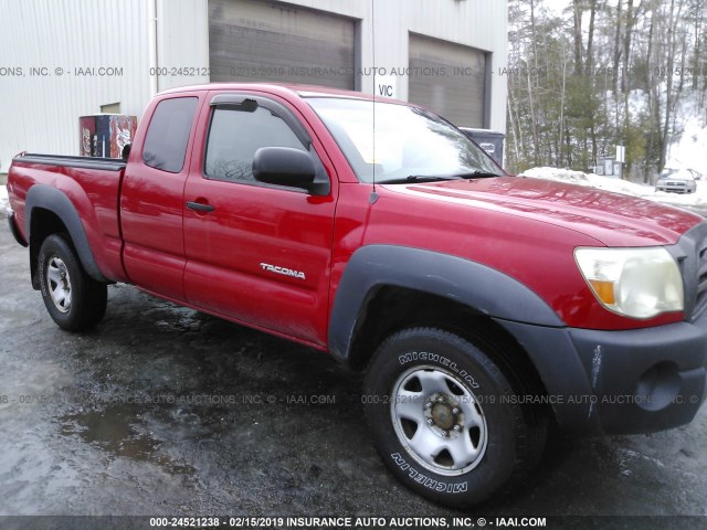 5TEUU42N65Z104683 - 2005 TOYOTA TACOMA RED photo 1