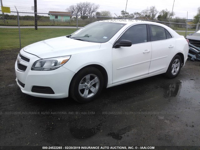 1G11B5SA8DF346164 - 2013 CHEVROLET MALIBU LS WHITE photo 2