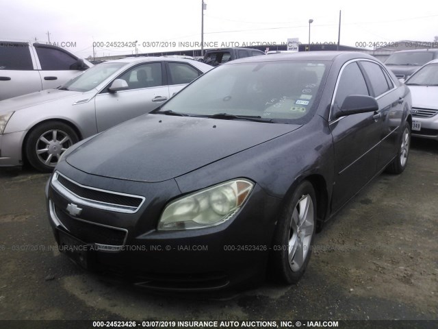1G1ZB5EB7A4157911 - 2010 CHEVROLET MALIBU LS GRAY photo 2