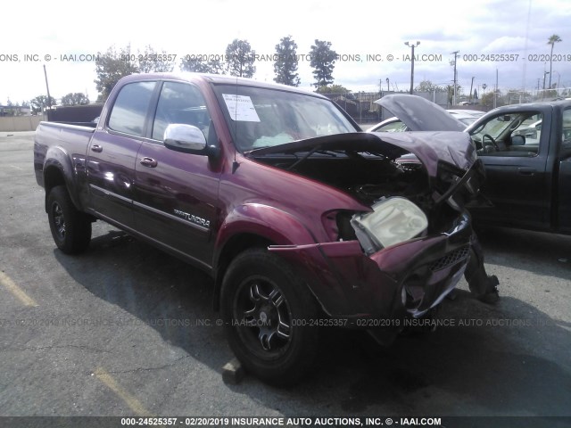 5TBET34166S520106 - 2006 TOYOTA TUNDRA DOUBLE CAB SR5 MAROON photo 1