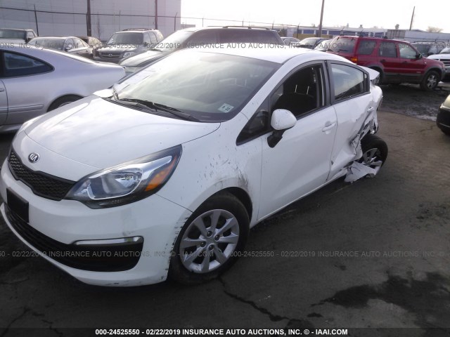 KNADM4A30H6050618 - 2017 KIA RIO LX WHITE photo 2