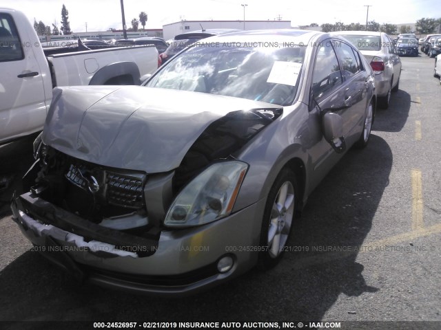 1N4BA41E54C812489 - 2004 NISSAN MAXIMA SE/SL Champagne photo 2