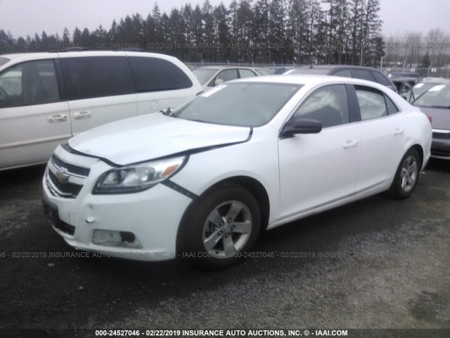 1G11B5SA7DF264426 - 2013 CHEVROLET MALIBU LS WHITE photo 2