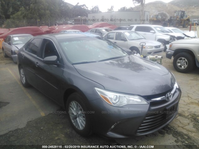 4T4BF1FK6GR534176 - 2016 TOYOTA CAMRY LE/XLE/SE/XSE GRAY photo 1