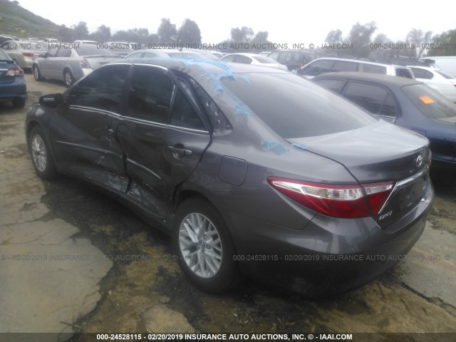 4T4BF1FK6GR534176 - 2016 TOYOTA CAMRY LE/XLE/SE/XSE GRAY photo 3