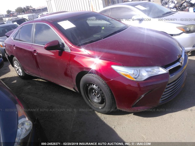4T1BF1FKXHU651626 - 2017 TOYOTA CAMRY LE/XLE/SE/XSE MAROON photo 1