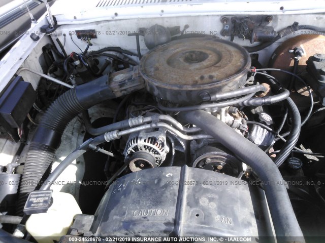 1B7GG23X1TS600274 - 1996 DODGE DAKOTA WHITE photo 10