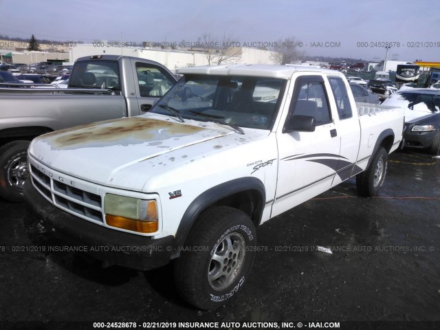 1B7GG23X1TS600274 - 1996 DODGE DAKOTA WHITE photo 2