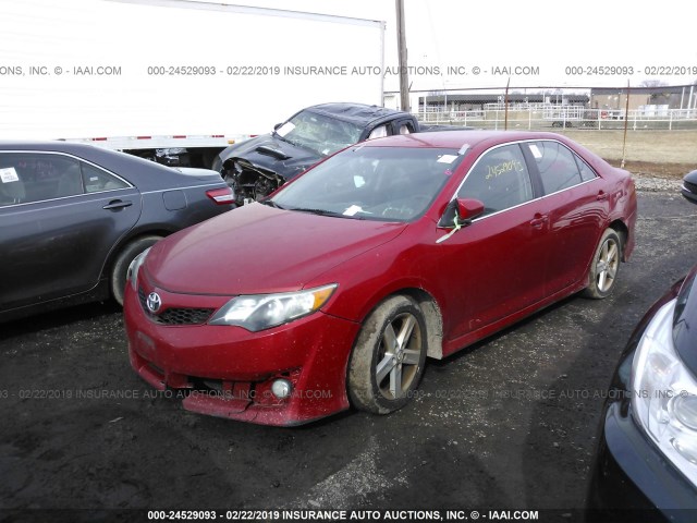 4T1BF1FK6DU705448 - 2013 TOYOTA CAMRY L/SE/LE/XLE 红色 照片 2