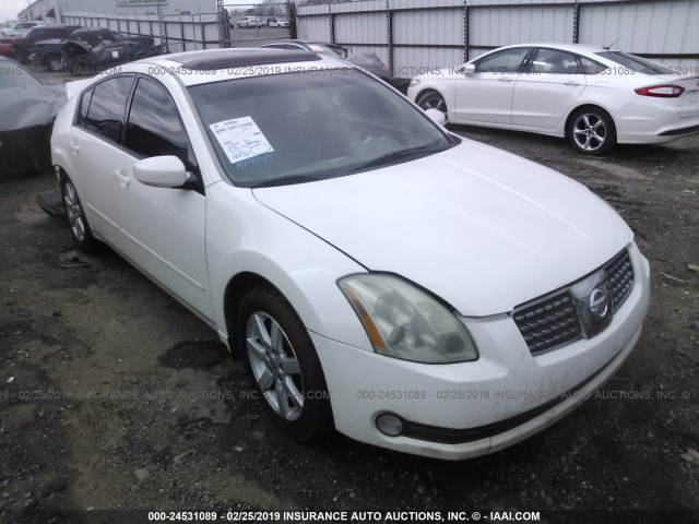 1N4BA41E15C867345 - 2005 NISSAN MAXIMA SE/SL WHITE photo 1