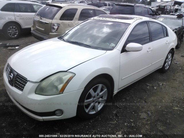 1N4BA41E15C867345 - 2005 NISSAN MAXIMA SE/SL WHITE photo 2