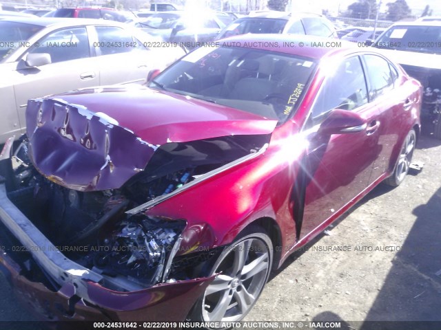 JTHBF5C28C5172932 - 2012 LEXUS IS 250 RED photo 2