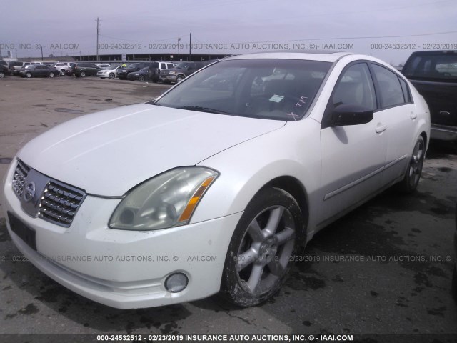 1N4BA41E54C871350 - 2004 NISSAN MAXIMA SE/SL WHITE photo 2