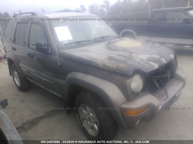 1J4GL58K32W216881 - 2002 JEEP LIBERTY LIMITED TAN photo 1