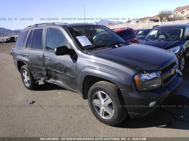 1GNDS13S272280461 - 2007 CHEVROLET TRAILBLAZER LS/LT BLACK photo 6