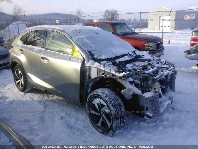 JTJBARBZ0J2159643 - 2018 LEXUS NX 300/BASE/F SPORT GRAY photo 1