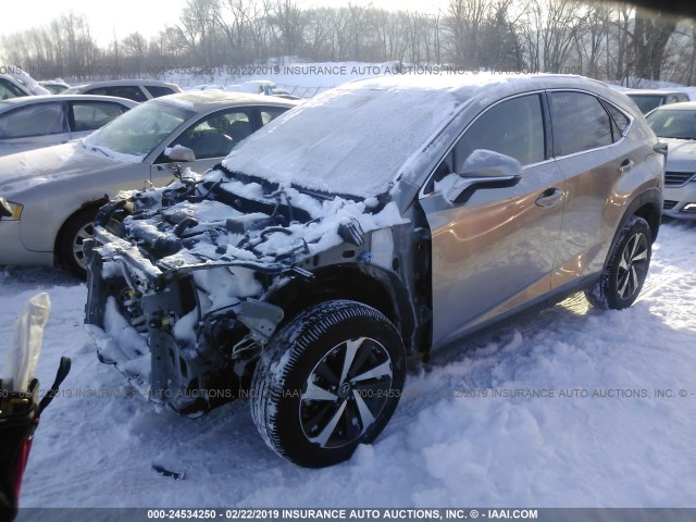 JTJBARBZ0J2159643 - 2018 LEXUS NX 300/BASE/F SPORT GRAY photo 2