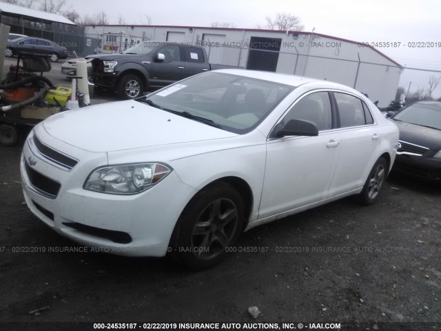 1G1ZB5E19BF336769 - 2011 CHEVROLET MALIBU LS WHITE photo 2