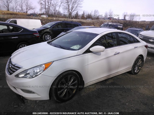 5NPEC4AB1CH384365 - 2012 HYUNDAI SONATA SE/LIMITED WHITE photo 2