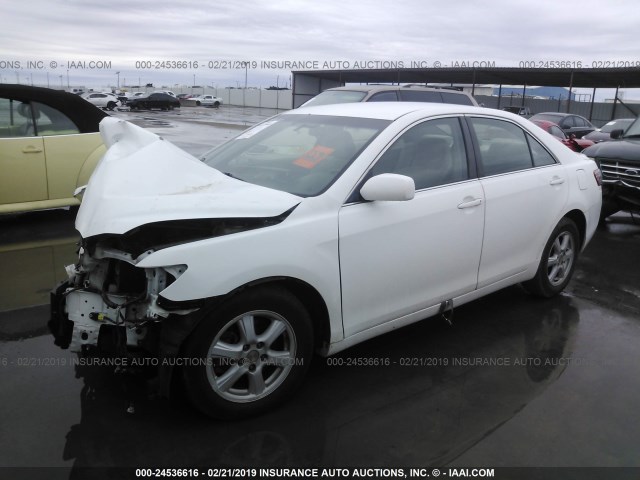 4T1BK46K28U575042 - 2008 TOYOTA CAMRY LE/XLE/SE WHITE photo 2