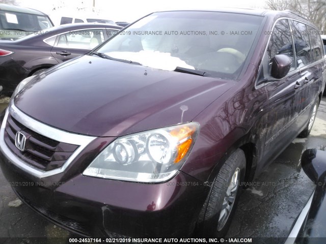 5FNRL38689B015739 - 2009 HONDA ODYSSEY EXL BURGUNDY photo 2